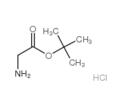 甘氨酸叔丁酯盐酸盐 CAS#:27532-96-3
