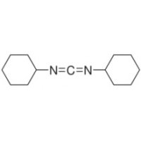 N,N'-二环己基碳二亚胺(DCC) ,99.0%
