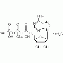 腺苷-5′-三磷酸 二钠盐 水合物，95%