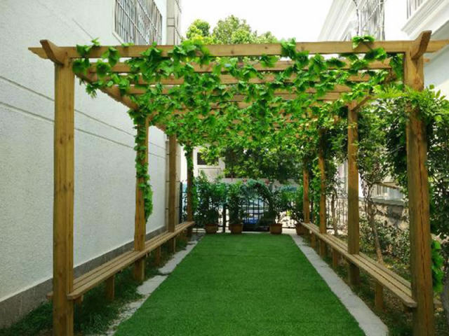 花园葡萄架.jpg