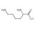 L-赖氨酸 CAS#:56-87-1