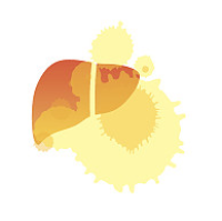 AAV在肝脏中的应用