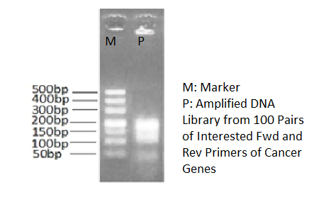 高保真二代測序DNA文庫制備PCR反應液2X HiFi PCR Master Mix For DNA library preparation 
