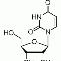 尿嘧啶核苷 ,99%