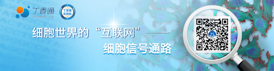 专题：细胞世界的“互联网”——细胞信号通路