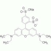 丽丝胺罗丹明B ,>98%（HPLC)