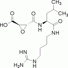 N-(反式-环氧丁二酰基)-L-亮氨酸-4-胍基丁基酰胺,超纯,98%