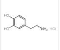 多巴胺盐酸盐 CAS#:62-31-7