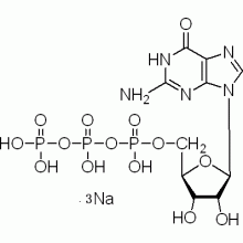 鸟苷-5′-三磷酸钠盐(GTP) ,≥96%(HPLC）