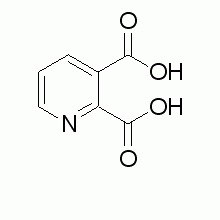 吡啶-2，3-二羧酸,99.5%