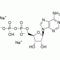 腺苷-5‘-二磷酸钠盐水合物>98.0%