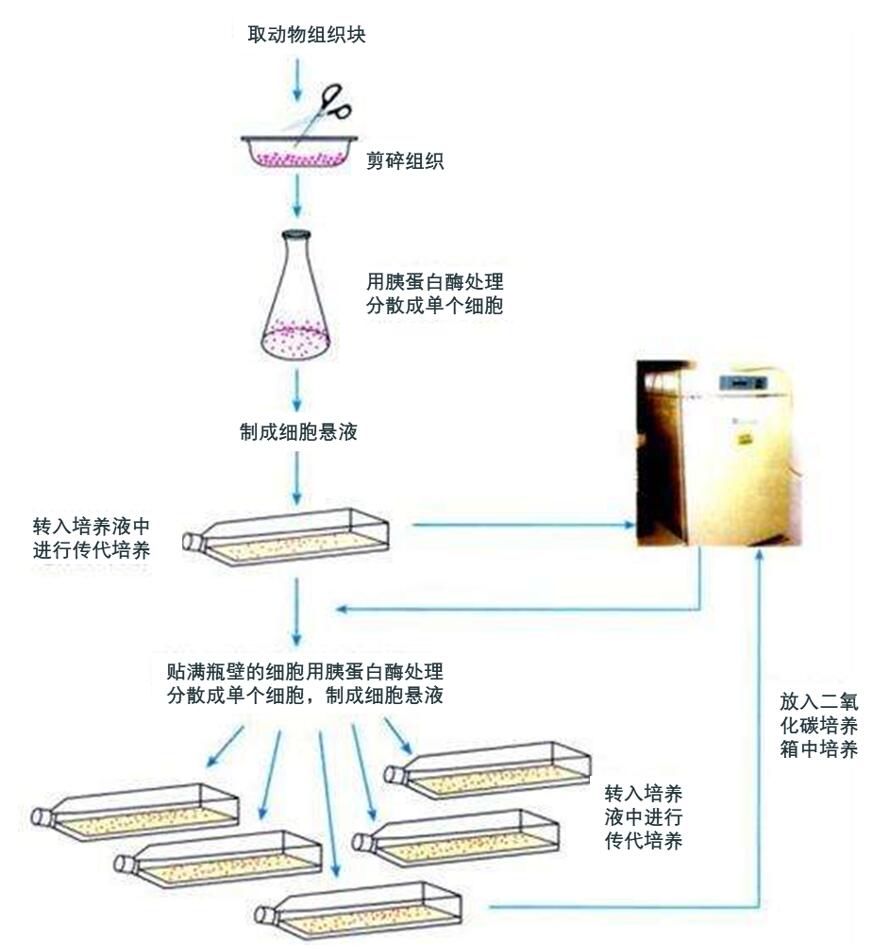 产品封面图