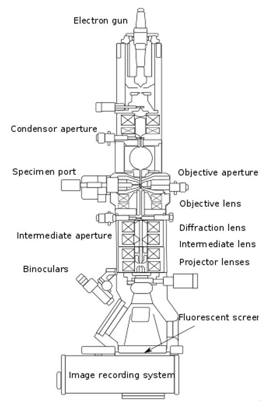 透射显微与扫描透射