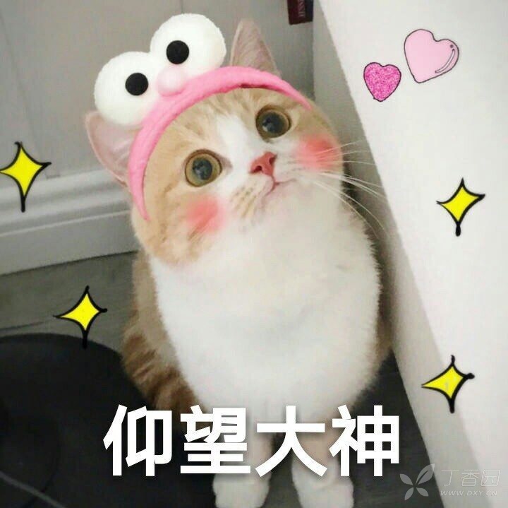 求走过路过的朋友们指教