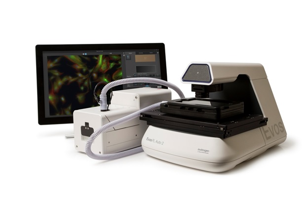 EVOS FL Auto 2全自动活细胞显微成像系统