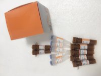 NovoStart® SYBR qPCR SuperMix Plus