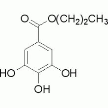 熊果苷（β型）,99%
