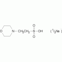 吗啉乙磺酸半钠盐 ,≥98%