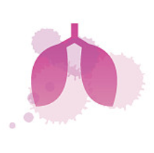 AAV在肺组织中的应用