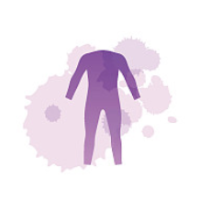 AAV在肌肉组织中的应用