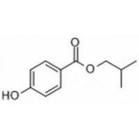 4-羟基苯甲酸异丁酯 ,99%