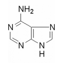 腺嘌呤，分析标准品,HPLC≥98%