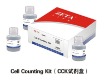 细胞增殖及毒性检测-Cell Counting Kit （CCK试剂盒)