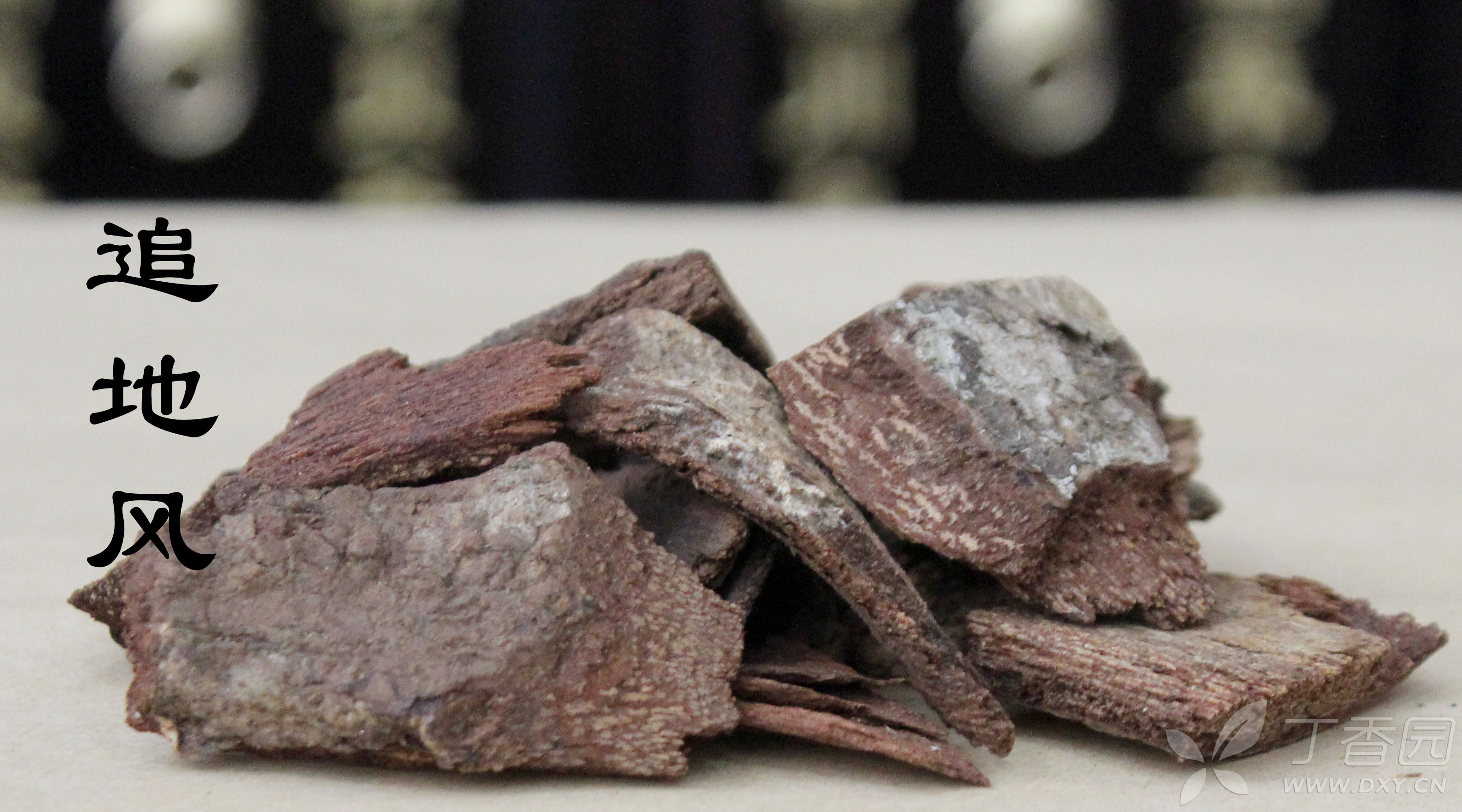 中医(专长)医师资格证书,每日一味学中药——追地风