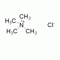 四甲基氯化铵 ,>98.0%(T)