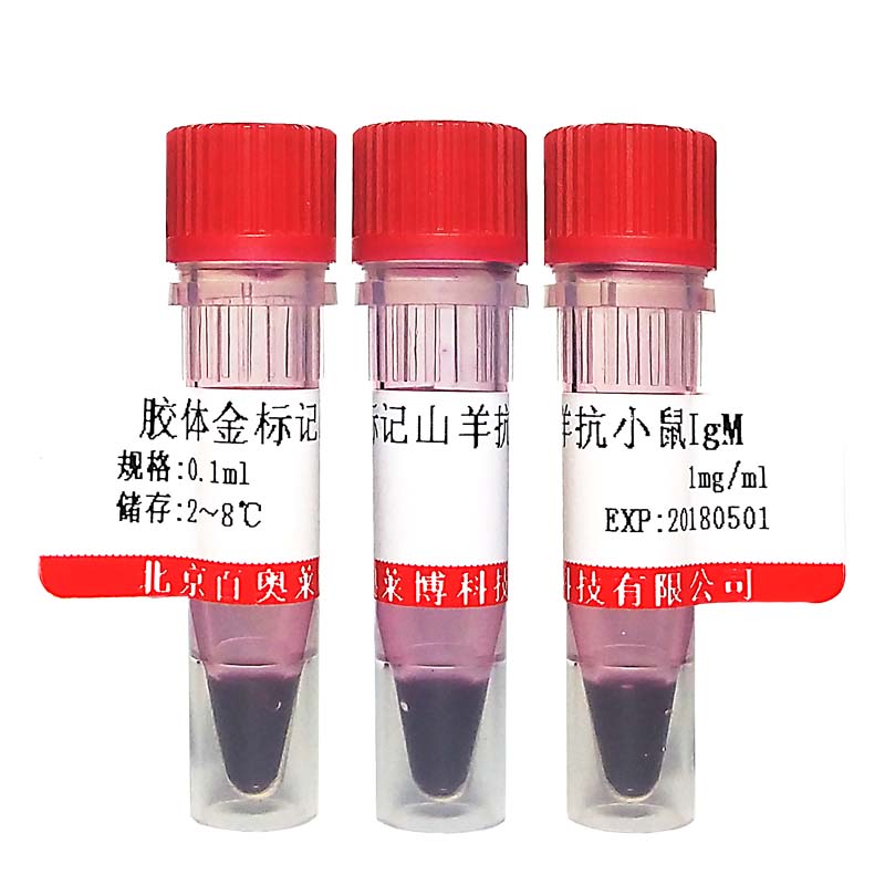 北京现货BL0943型生物素化羊抗大鼠IgG抗体(国产,进口)