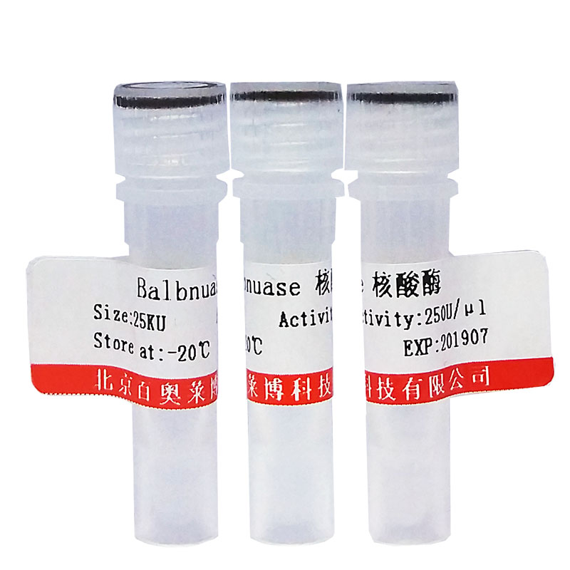 定影粉 蛋白质研究