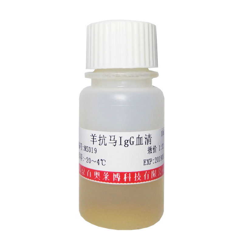 北京现货特级胎牛血清怎么卖