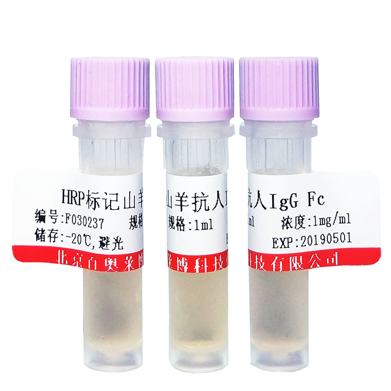 羊抗人IgA抗体(HRP标记) HRP标记抗体