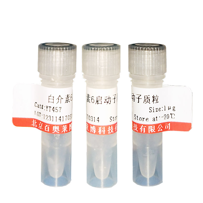 BTN17-0260型限制性内切酶SphI优惠促销