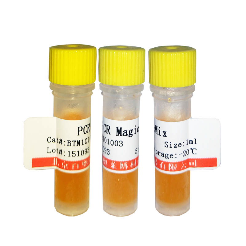 标准蛋白质溶液(BSA,5mg/ml) 分子生物学试剂