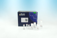 唾液基因组提取试剂盒