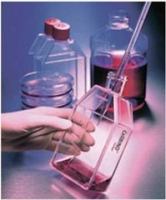 流式细胞检测  FCM