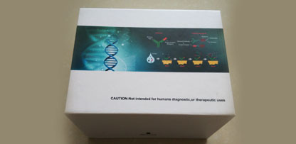 小鼠水通道蛋白0(AQP-0)间接法Elisa试剂盒