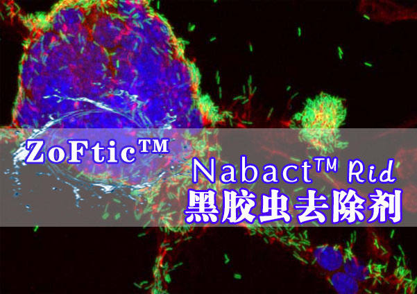 Nabact™ Rid（黑胶虫去除剂）