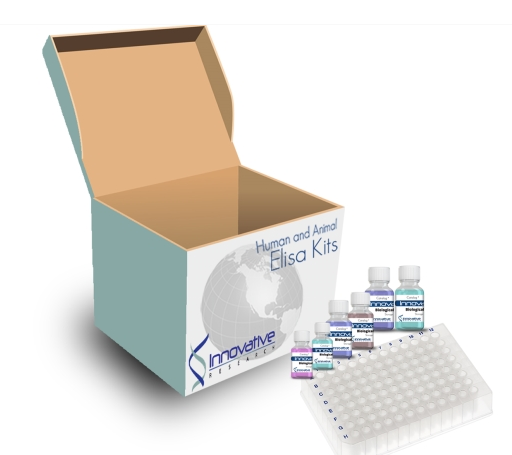 Human Alpha-1 Antitrypsin ELISA Kit for Urine, Milk, Saliva, and Cell Culture Samples