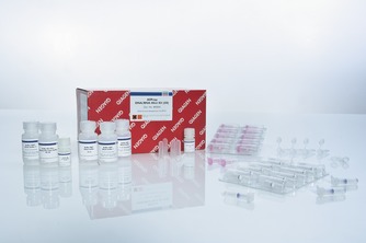 Allprep DNA RNA Kit (50)