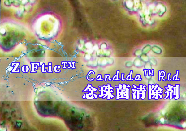Candida™ Rid（念珠菌清除剂）