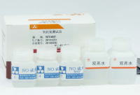 糖化血清蛋白（GSP）测试盒（果糖胺法）（带标准）