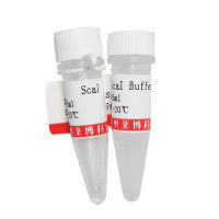 JAK3抑制剂(Tofacitinib citrate)库存