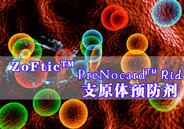 PreNocard™ Rid（支原体污染预防剂）