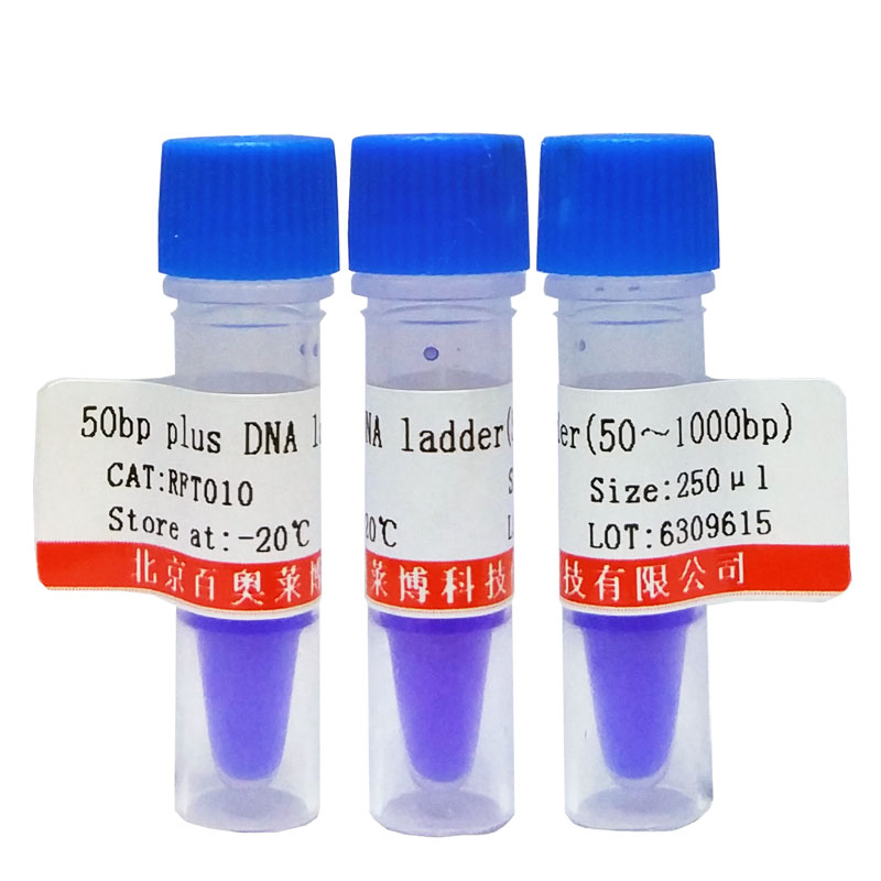 GLP-1受体激动剂(Liraglutide) 抑制剂激活剂