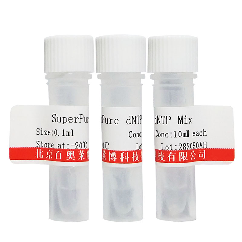 北京JN0607型重组人氧化型低密度脂蛋白受体1(OLR1)价格