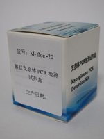 絮状支原体PCR检测试剂盒