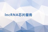 LNCRNA芯片服务
