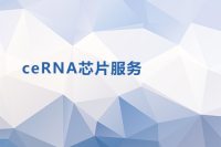 CERNA芯片服务
